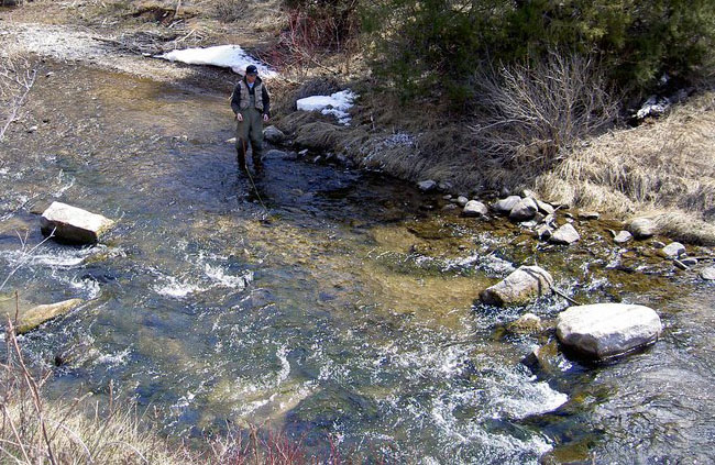 Fly Fishing For Trout In A Stream